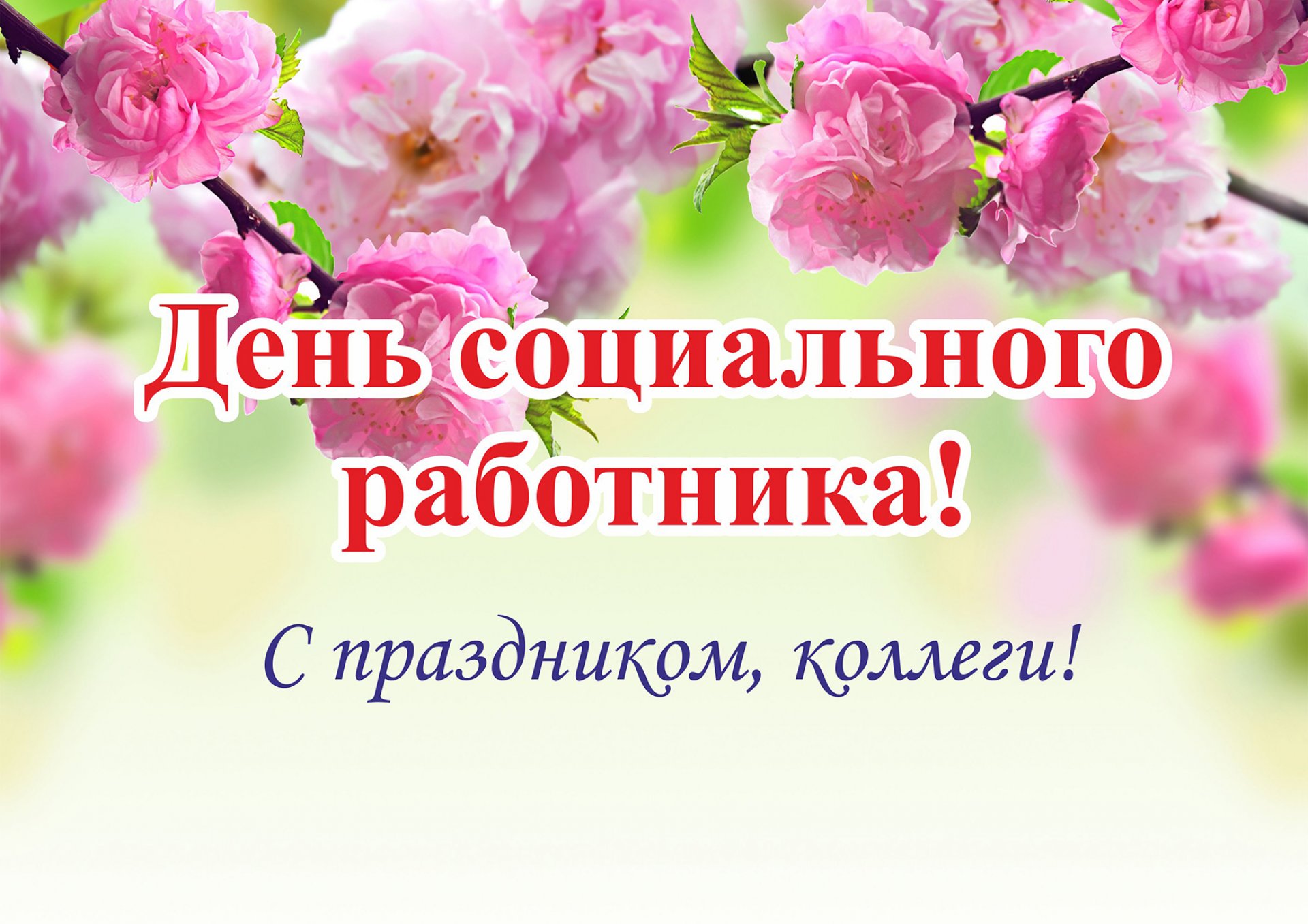 С наступающим праздником - Днём социального работника! :: Новости ::  Государственное автономное учреждение социального обслуживания населения  Свердловской области «Комплексный центр социального обслуживания населения  города Нижняя Салда»