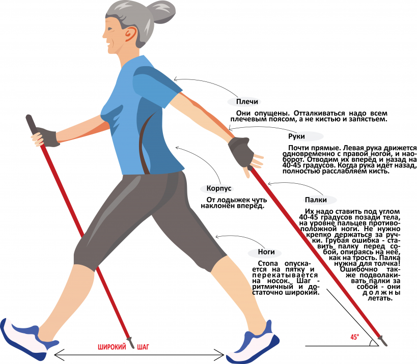Чем полезна ходьба. Методика скандинавской ходьбы для начинающих. Скандинавская ходьба с палками техника ходьбы. Как правильно ходить скандинавской ходьбой. Скандинавская ходьба с палками для начинающих.